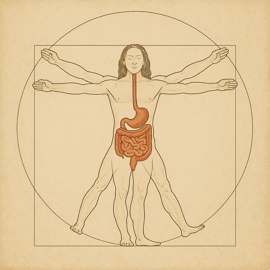 Digestion